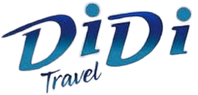 Didi Travel